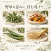 商品画像 2 のサムネイル
