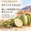 商品画像 2 のサムネイル