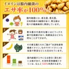 商品画像 2 のサムネイル