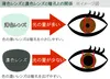 商品画像 6 のサムネイル