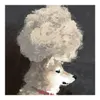 商品画像 3 のサムネイル