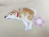 商品画像 3 のサムネイル