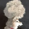 商品画像 1 のサムネイル