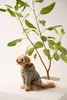 Thumbnail of product image 1