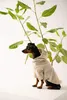 Thumbnail of product image 3