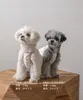 Thumbnail of product image 1