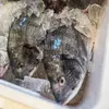商品画像 4 のサムネイル