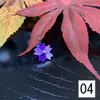 商品画像 5 のサムネイル