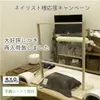 商品画像 1 のサムネイル