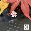 商品画像 2 のサムネイル
