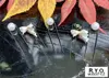 商品画像 1 のサムネイル