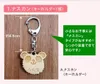 Thumbnail of product image 5