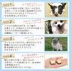 商品圖片 10 縮圖