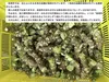 Thumbnail of product image 5