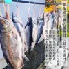 商品画像 2 のサムネイル