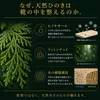 商品画像 3 のサムネイル