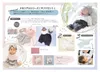 商品画像 6 のサムネイル
