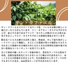 商品画像 6 のサムネイル