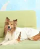 商品画像 1 のサムネイル