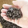 商品画像 4 のサムネイル