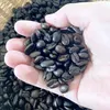 商品画像 10 のサムネイル