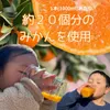 商品画像 3 のサムネイル