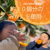 商品画像 3 のサムネイル