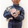 商品画像 4 のサムネイル
