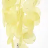 商品画像 13 のサムネイル