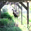 商品画像 2 のサムネイル