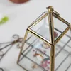 商品画像 6 のサムネイル