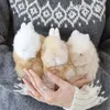 商品画像 9 のサムネイル