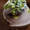 商品画像 8 のサムネイル
