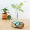 商品画像 5 のサムネイル