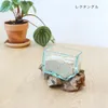 商品画像 11 のサムネイル