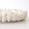 商品画像 5 のサムネイル