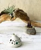 商品画像 1 のサムネイル