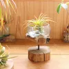 商品画像 3 のサムネイル