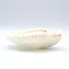 商品画像 8 のサムネイル