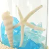 商品画像 5 のサムネイル
