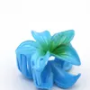 商品画像 12 のサムネイル