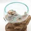 商品画像 5 のサムネイル