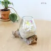 商品画像 7 のサムネイル