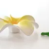 商品画像 5 のサムネイル