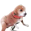 商品画像 6 のサムネイル