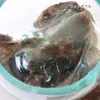商品画像 13 のサムネイル
