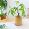商品画像 3 のサムネイル