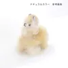 商品画像 6 のサムネイル