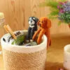 商品画像 13 のサムネイル
