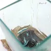 商品画像 18 のサムネイル